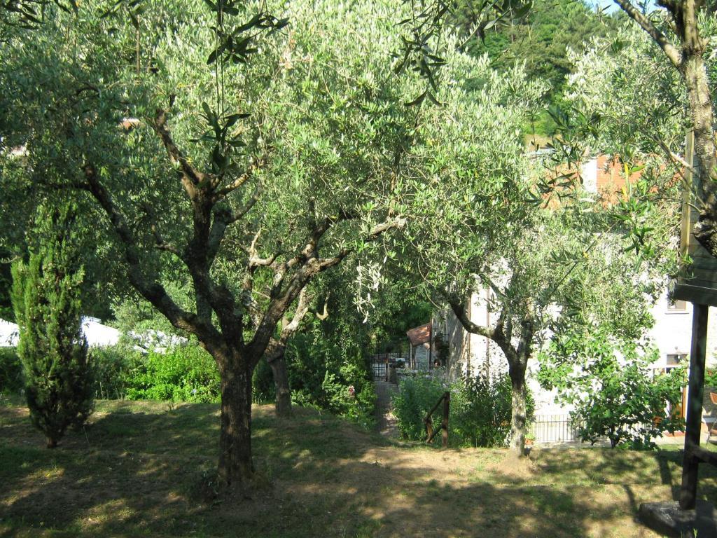 L'Arcadia Vendégház Pietrasanta Kültér fotó